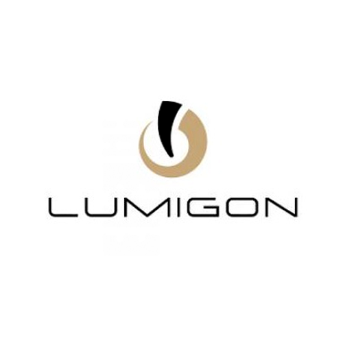 Lumigon's logo